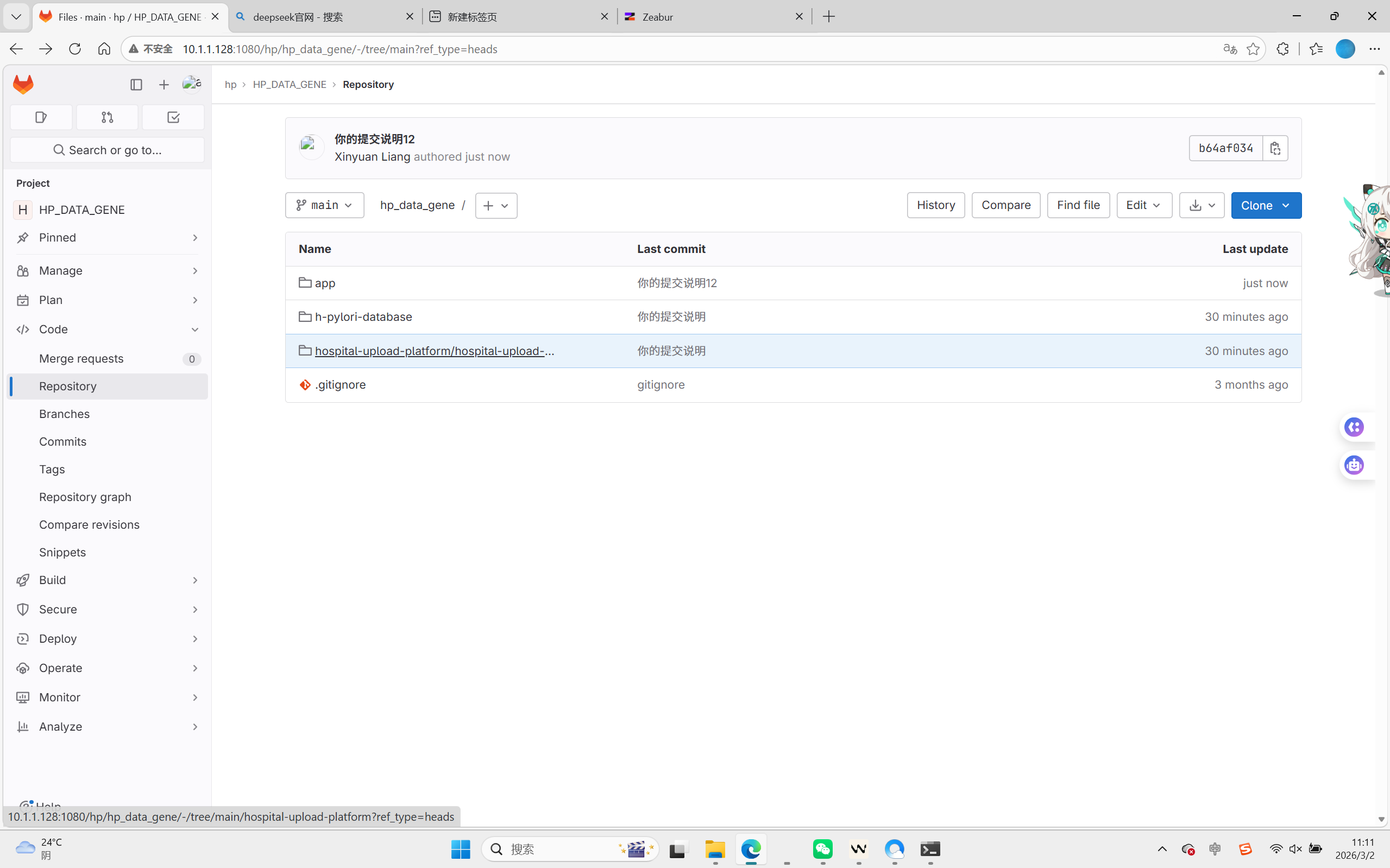 Git Repository